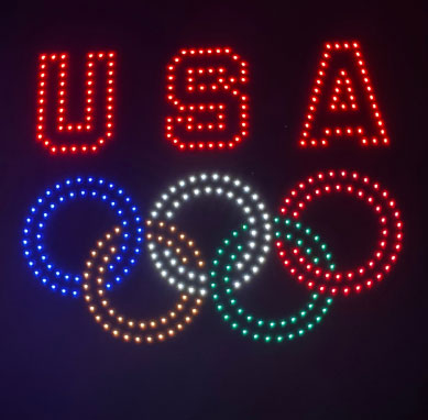 USA Logo Image